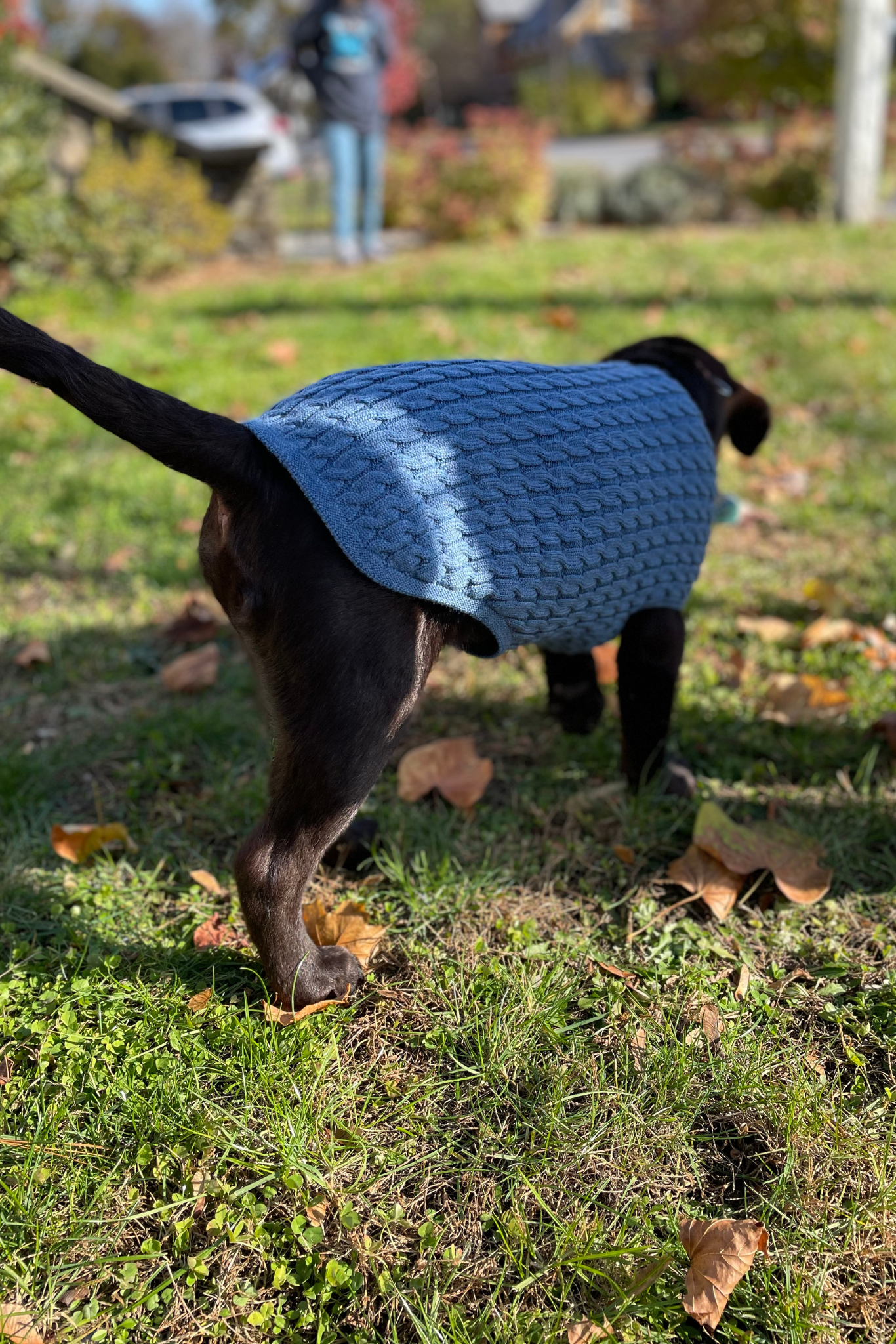 Pawsome Pairings: Pup and Person Matching Accessory Set