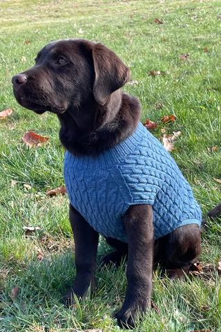 Monty Pet Sweater