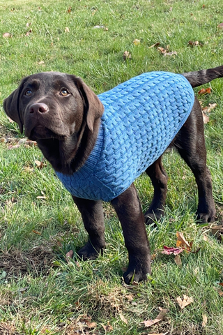 Monty Pet Sweater